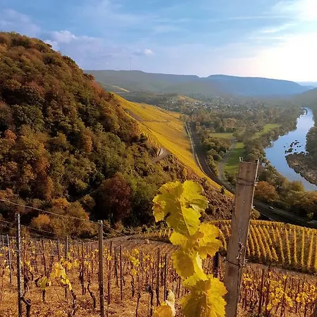 Haus Sonnenschein דירה *