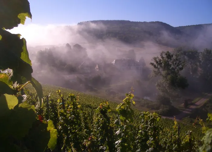 Haus Sonnenschein Apartman Wiltingen