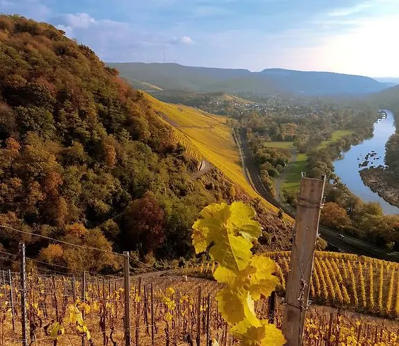 Haus Sonnenschein Apartamento *